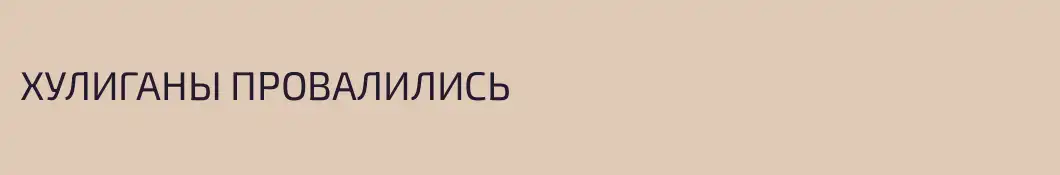 ХУЛИГАНЫ ПРОВАЛИЛИСЬ